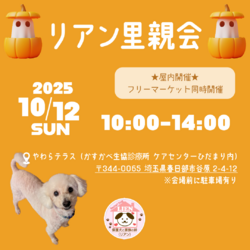 犬保護団体 リアン里親会