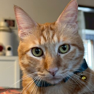 構ってちゃんの甘えん坊男子★リッキーくん