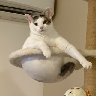 食べる！！遊ぶ！！の無限ループ★太陽くん