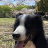 てくてくあるくよ