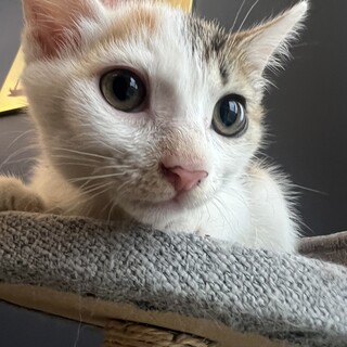 ムッチリ体型の穏やかさん❤︎かこちゃん2ヶ月