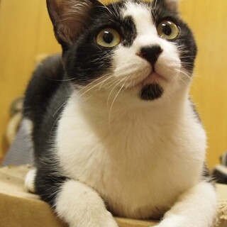 遊ぶの大好き！6ヶ月男の子