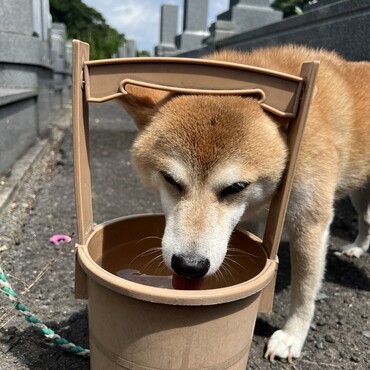 の写真