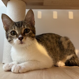 生後4ヶ月♡愛らしい女の子♡