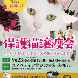 保護猫譲渡会@ユアペティア雪谷大塚店