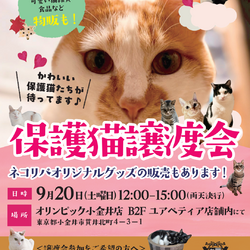 保護猫譲渡会@オリンピック小金井店