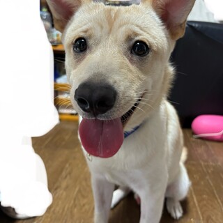 2025年３月生まれの男の子です。