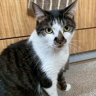 みんなのお兄ちゃん的存在　ノンノン♂