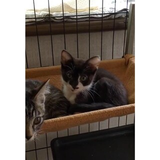 生後4ヶ月 男の子 