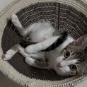 兄弟一緒にお願いします