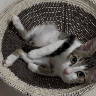 兄弟一緒にお願いします