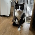 ぬいぐるみみたいな雰囲気がたまらん