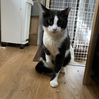 ぬいぐるみみたいな雰囲気がたまらん