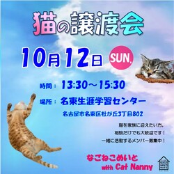 名古屋　猫の譲渡会
