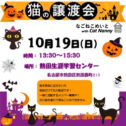 なごねこめいと　猫の譲渡会