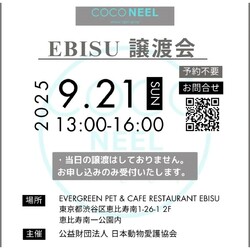 保護いぬ譲渡会＠恵比寿 サムネイル2