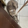 今日もクロちゃんは元気です！