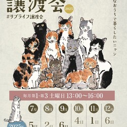 LiveLife譲渡会inキャットソシオンギャラリー