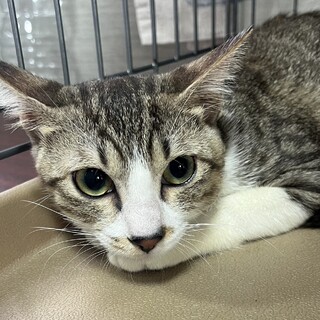 里親決定★トコトコちゃん