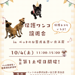 保護ワンコ譲渡会 in ペットのお葬式＆思い出工房