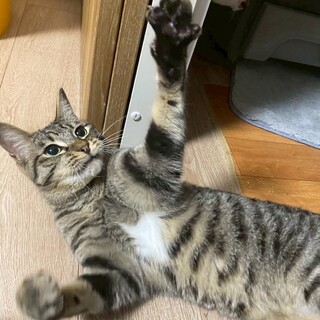 ෆ⃛人馴れ抜群ෆ⃛きいくん