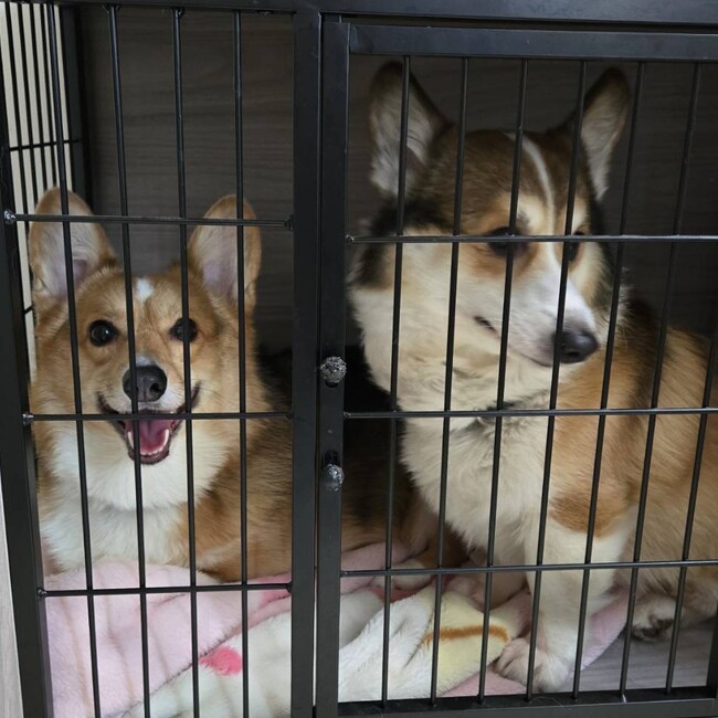 シェアのカバー写真