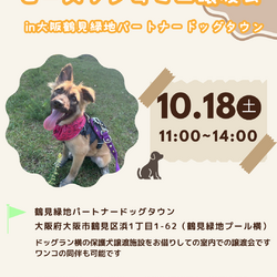 ピースワンコ生駒ミニ譲渡会 in大阪鶴見緑地パートナードッグタウン