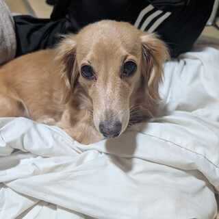 よろしくお願いします！