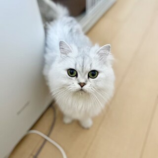 最初は控えめ、撫でられるのが大好き！