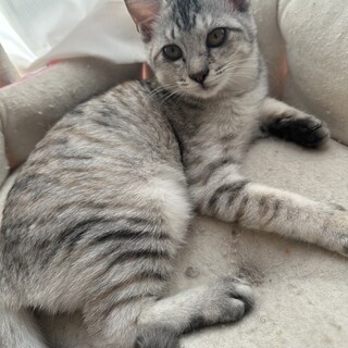 素敵なご家族と出会えました♡サクラ