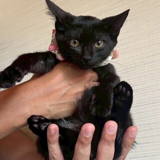 小柄な女の子　ユオちゃん