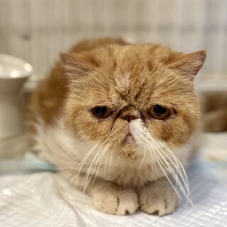 おっとりして大変マイペースな女の子です