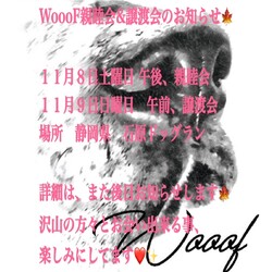 WOOOF譲渡会