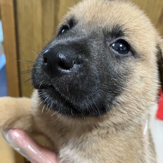 ミルクから育ててきた子です