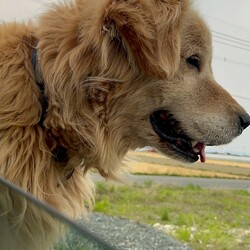 10年前