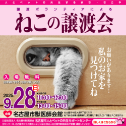 猫の譲渡会☆大須商店街近く