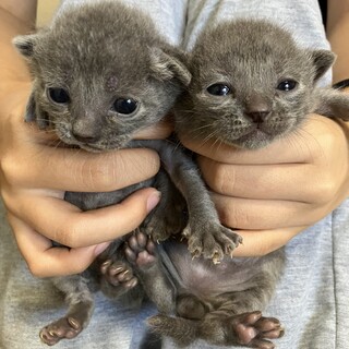 きょうだいでよろしくお願いします♪