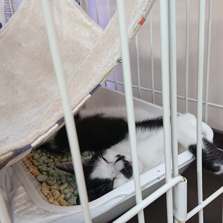 僕、本当はね甘えん坊なの＊