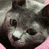 みぃぃぃちゃん