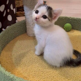 ２姉妹♥えん坊♥可愛い可愛い♡ひばりちゃん