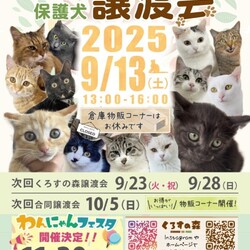 保護猫譲渡会inくろすの森（クロス）