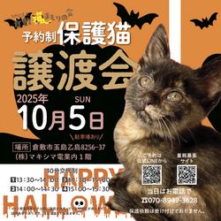 保護猫譲渡会（予約制）