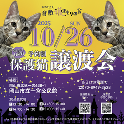 保護猫譲渡会（予約制）