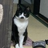 交通事故から奇跡の復活をした子です サムネイル4