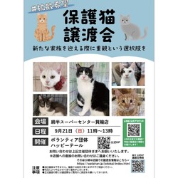 ハッピーテール保護猫譲渡会