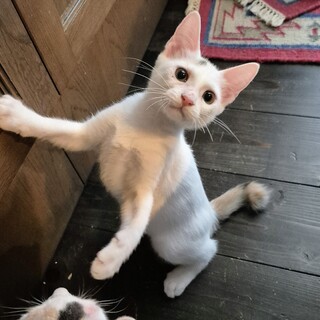 ありがとうです！甘えん坊のウーちゃん