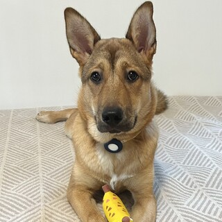 人の輪の中に入りたい甘えん坊の女の子