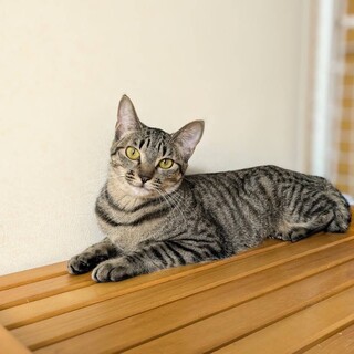 ちょっぴりおてんば♡エス