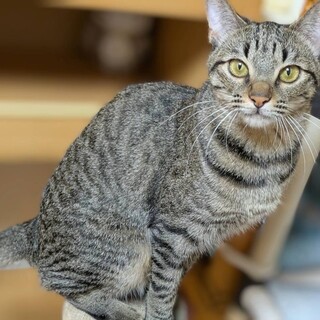 運動神経が抜群♡エル