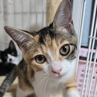 11/16カインズ浦和美園参加　